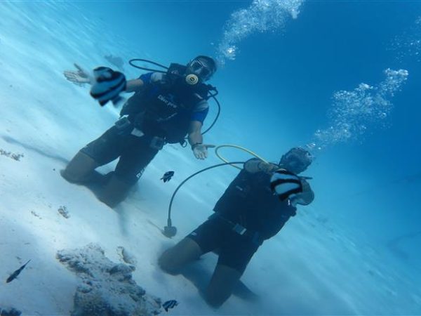 Scuba Diving with license