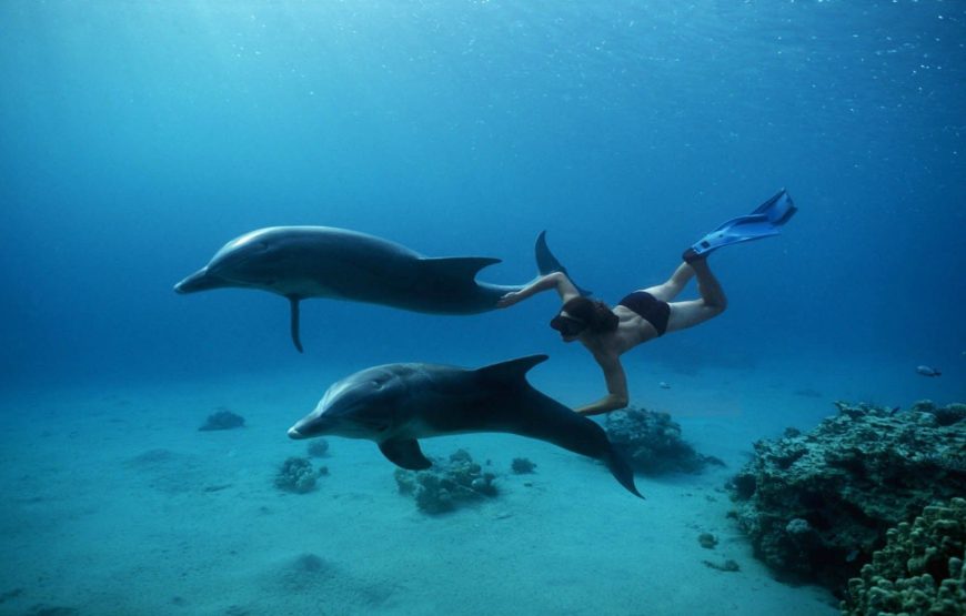 Diving 