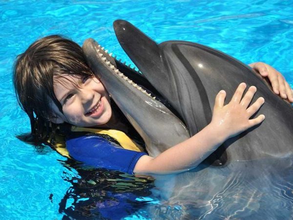 Swimming With Dolphin+ Show