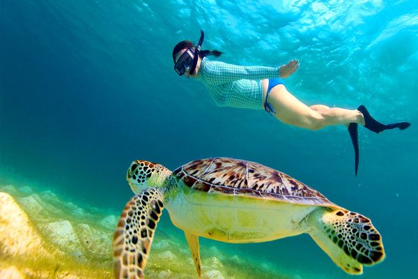 Snorkeling Orange Bay
